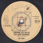 J.S.D. Band  Sunshine Life For Me (Sail Away Raymond)