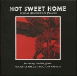 Various Hot Sweet Home - Reggae Memories Of Jamaica