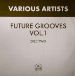 Various Future Grooves Vol. 1