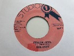 Bob Andy / Sound Dimension  Feeling Soul