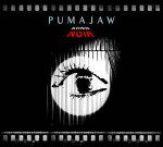 Pumajaw  Song Noir