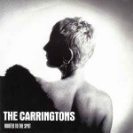 Carringtons  Rooted To The Spot