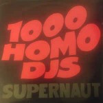 1000 Homo DJs  Supernaut