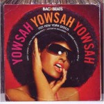 Various Yowsah Yowsah Yowsah (70s New York Disco)