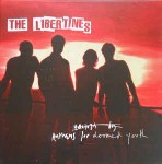 Libertines  Anthems For Doomed Youth