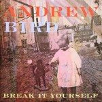 Andrew Bird  Break It Yourself
