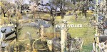 Paul Weller  22 Dreams