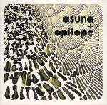Asuna + Opitope  Sunroom