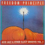 Various Freedom Principle (Acid Jazz & Other Illicit Groov