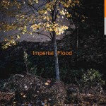 Logos Imperial Flood