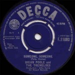 Brian Poole And The Tremeloes Someone, Someone