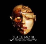 Black Moth  Anatomical Venus