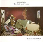 Sonic Youth  The Destroyed Room (B-Sides And Rarities)