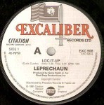 Leprechaun  Loc-It-Up