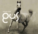 GusGus  Arabian Horse