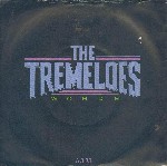 Tremeloes  Words