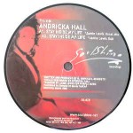 Andricka Hall / Deep Swing  Stay Inside My Life / Shelter (Remixes)