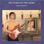 Mike Oldfield  Pictures In The Dark