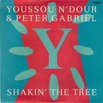 Youssou N'Dour & Peter Gabriel  Shakin' The Tree