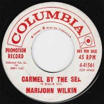 Marijohn Wilkin  Carmel By The Sea