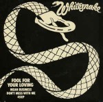 Whitesnake  Fool For Your Loving