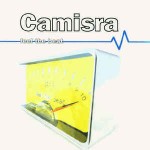 Camisra  Feel The Beat