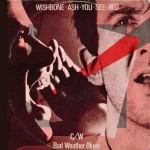 Wishbone Ash  You See Red