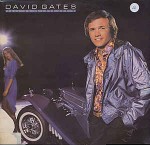 David Gates  Falling In Love Again