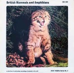 No Artist British Mammals and Amphibians