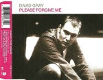 David Gray  Please Forgive Me