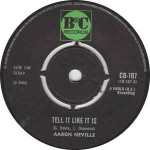 Aaron Neville  Tell It Like It Is