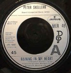 Peter Skellern  Raining In My Heart