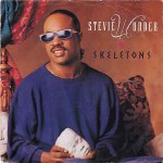 Stevie Wonder  Skeletons