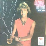 Andy Gibb  After Dark