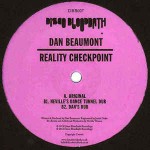 Dan Beaumont  Reality Checkpoint