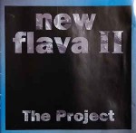 Various New Flava II - The Project