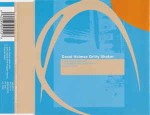 David Holmes  Gritty Shaker CD#2