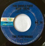 Fleetwoods  You Should Have Been There