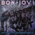 Bon Jovi  Slippery When Wet