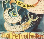 That Petrol Emotion  Sensitize