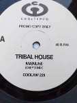 Tribal House  Mainline