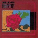 Big Country  Where The Rose Is Sown