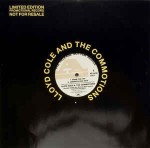 Lloyd Cole And The Commotions From The Hip