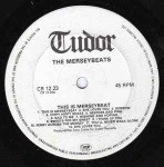 Merseybeats  This Is Merseybeat