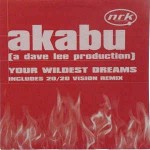 Akabu  Your Wildest Dreams