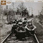 Animals  Animal Tracks