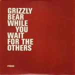 Grizzly Bear  While You Wait For The Others