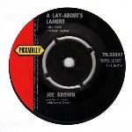 Joe Brown And The Bruvvers  A Lay-About's Lament