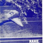 Rake  Squelch & Phrase Text Slur