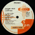 Modern-nique Featuring Larry Woo Love's Gonna Get You